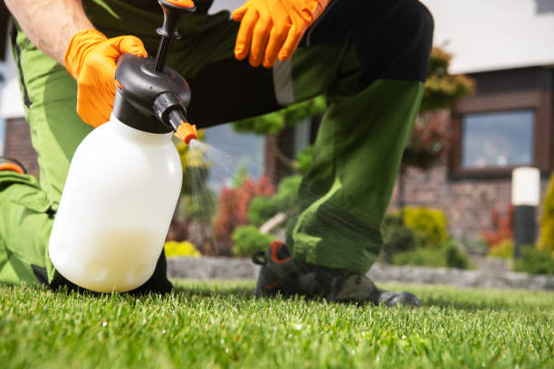 Wasp Removal Services in Clara City, MN