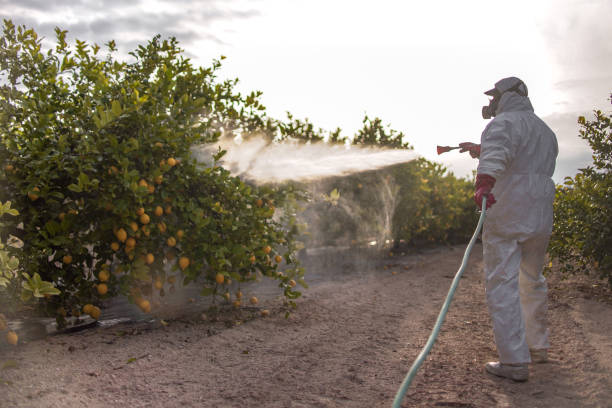 Pest Prevention Services in Clara City, MN