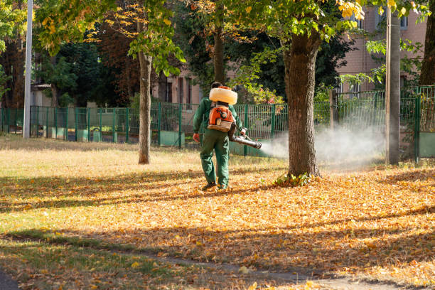 Reliable Clara City, MN Pest Control Solutions