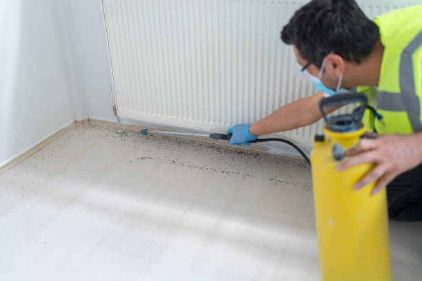 Pest Control Cost in Clara City, MN
