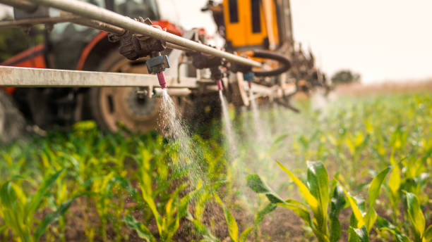 Best Pest Removal Services  in Clara City, MN
